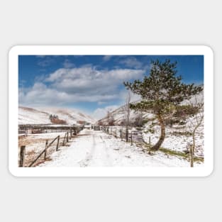 Coquet Valley - Wintertime Sticker